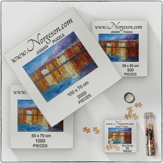 Reflections of Bryggen ( Bergen )