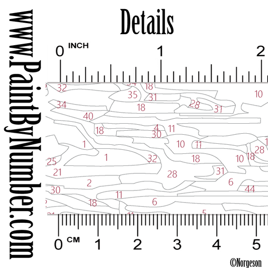 The dolphin and the moon