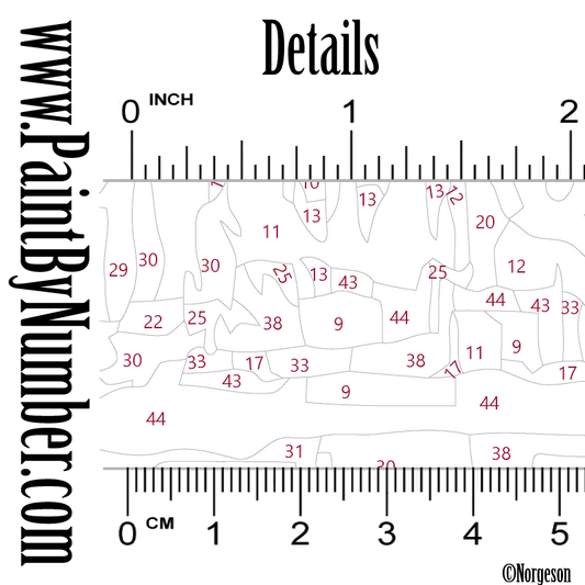 Reflections of Bryggen ( Bergen )