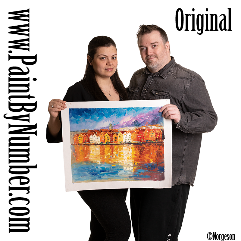 Reflections of Bryggen ( Bergen )