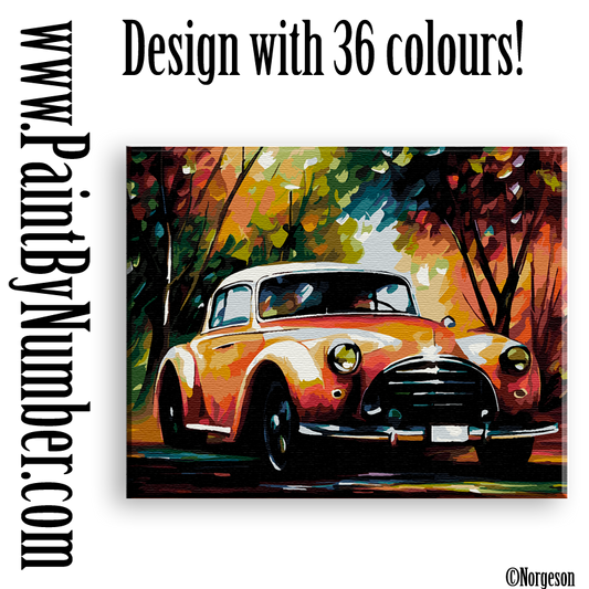 Vintage car in an country alley