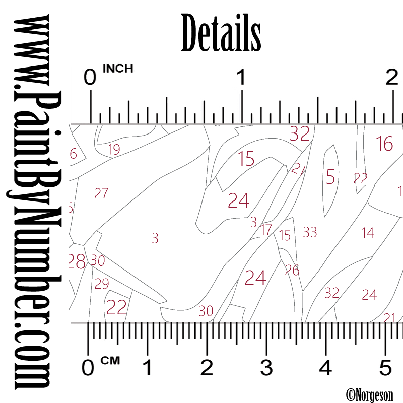 Night at the Colosseum