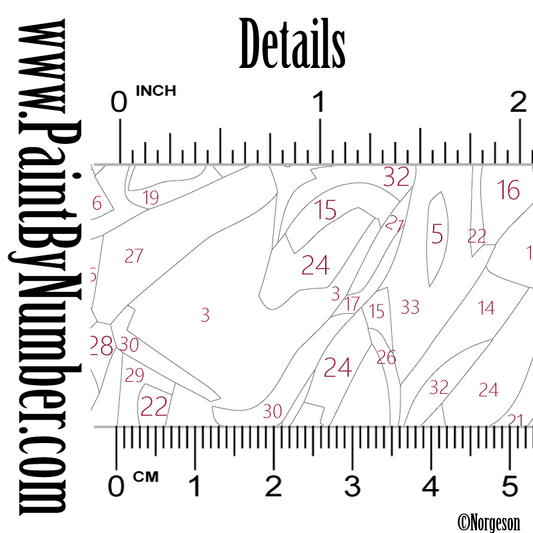 Night at the Colosseum