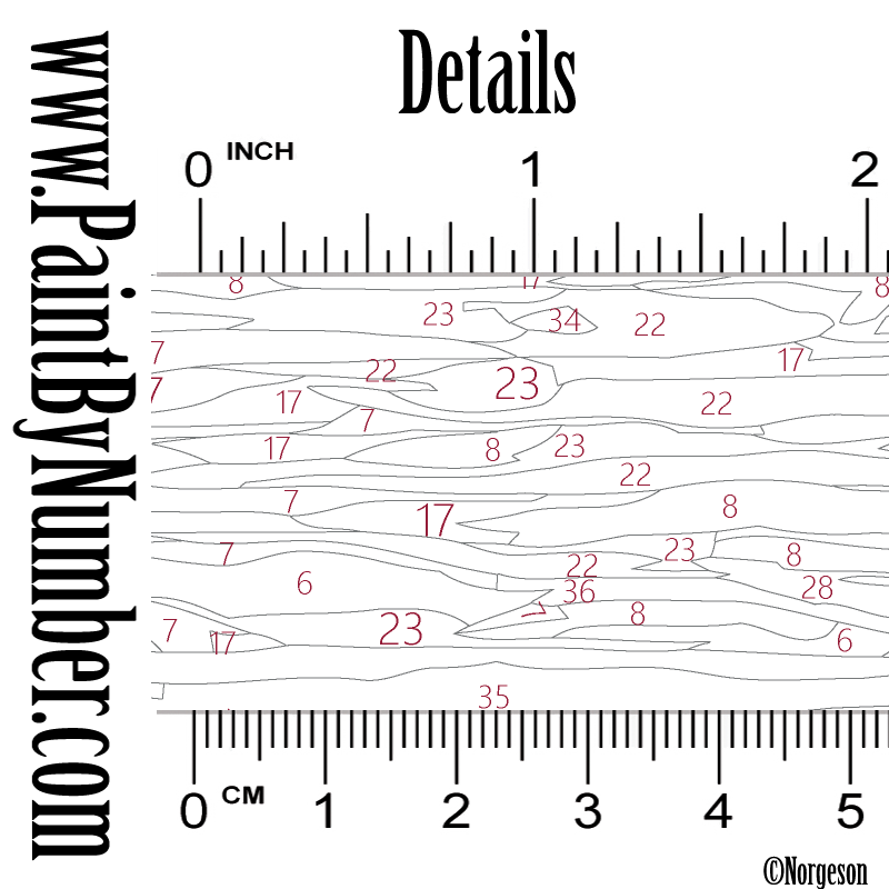 Aurora borealis over polar bears