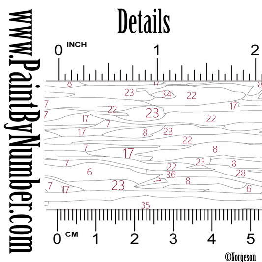 Aurora borealis over polar bears