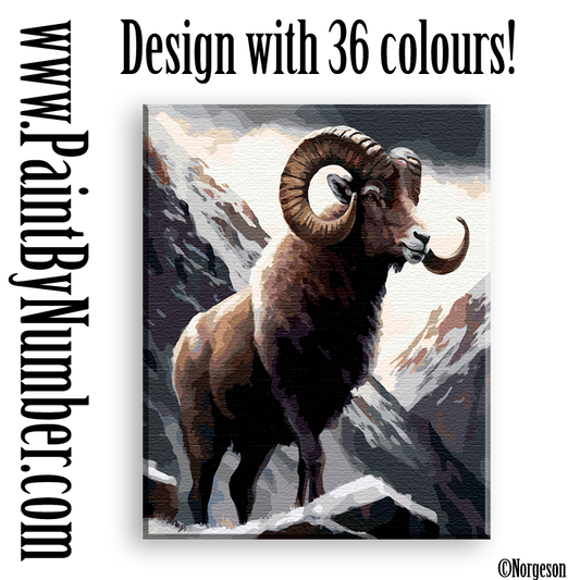 Bighorn sheep