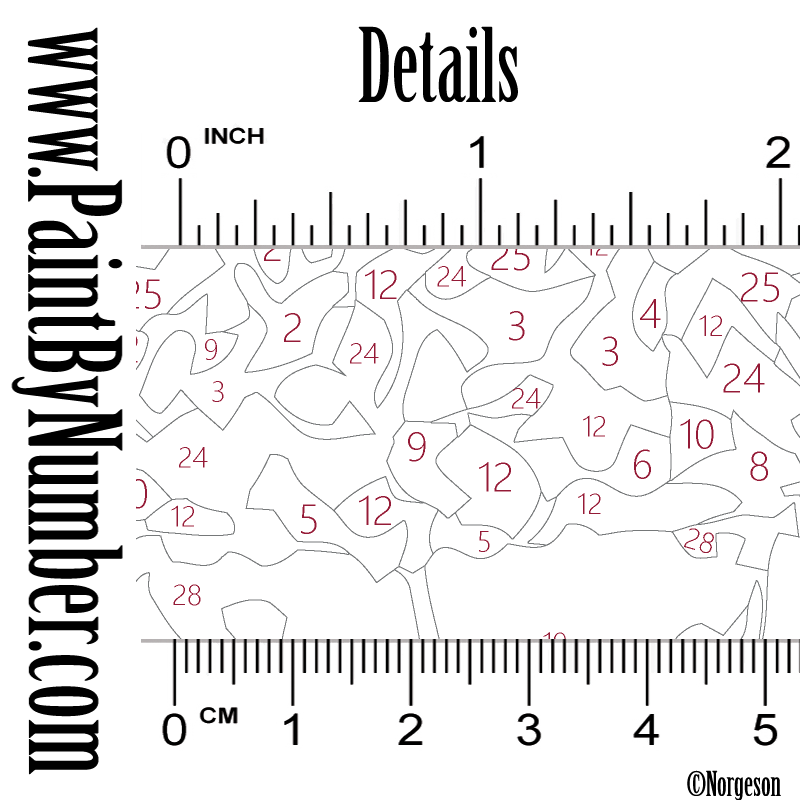 Ballerinas on the street