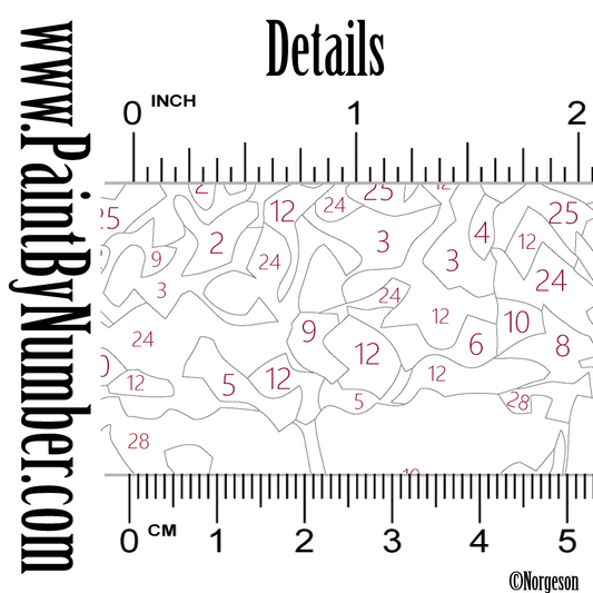 Ballerinas on the street