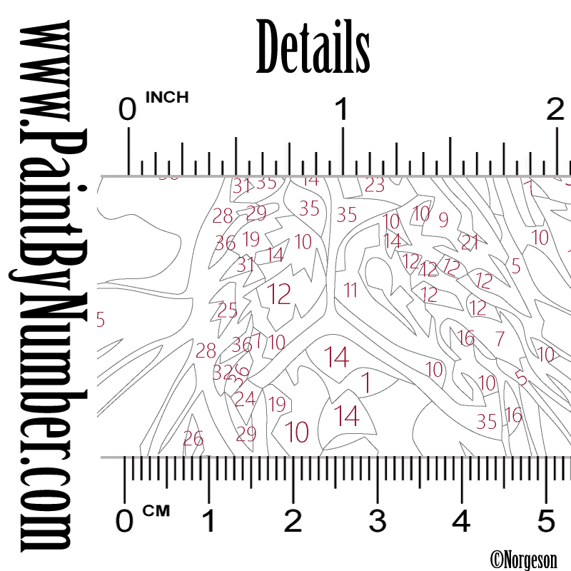 Queen of the sea (Seal)