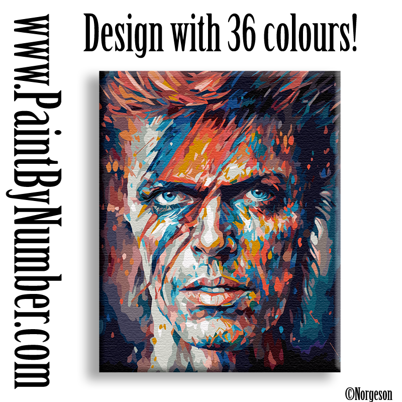 David Bowie Traditional paint by numbers