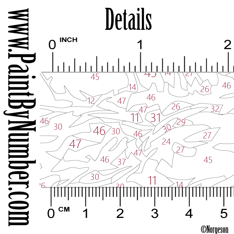 The incredible northern lights / Aurora borealis
