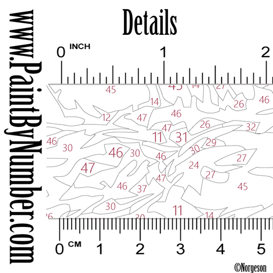 The incredible northern lights / Aurora borealis