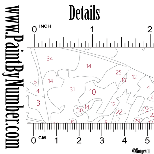 A night at the opera ( Sydney)