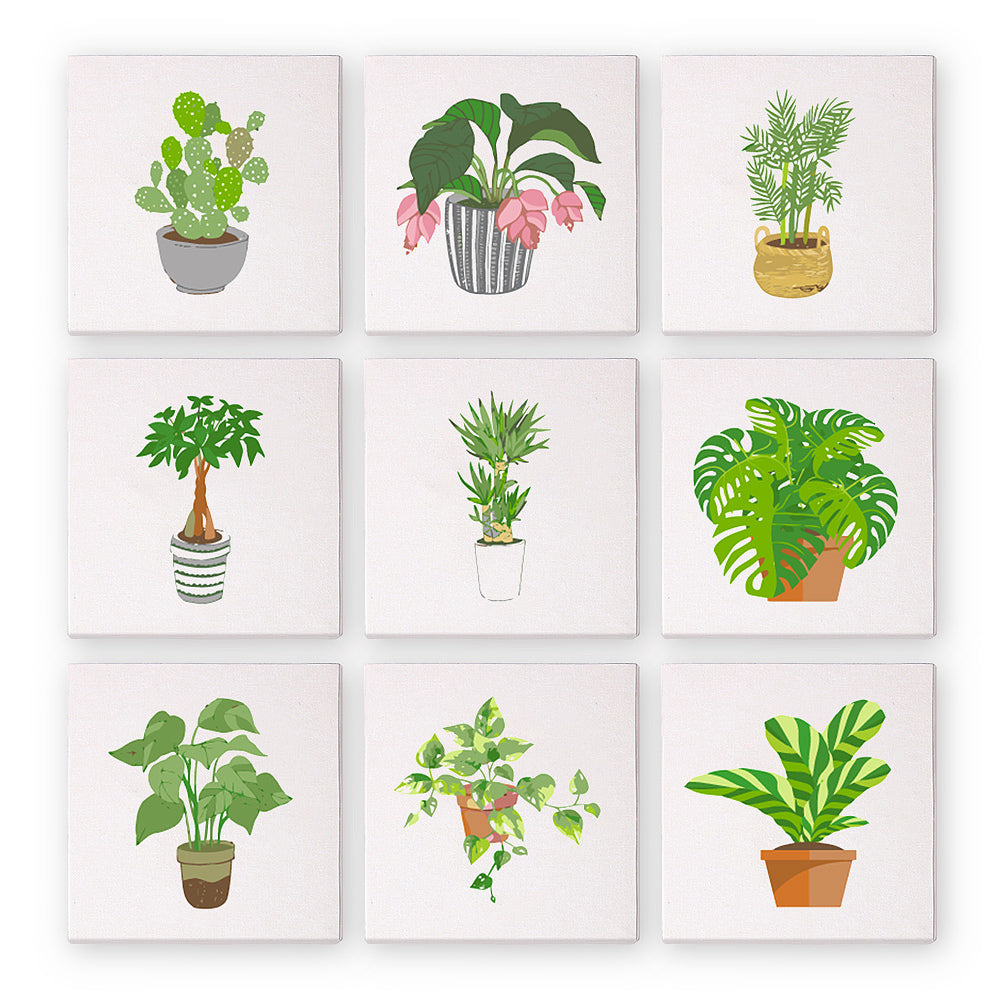 Plants - 9 mini paint by number sets