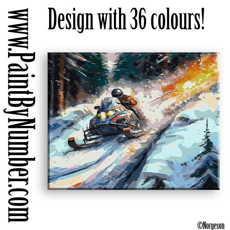Snowmobile Traditional paint by numbers