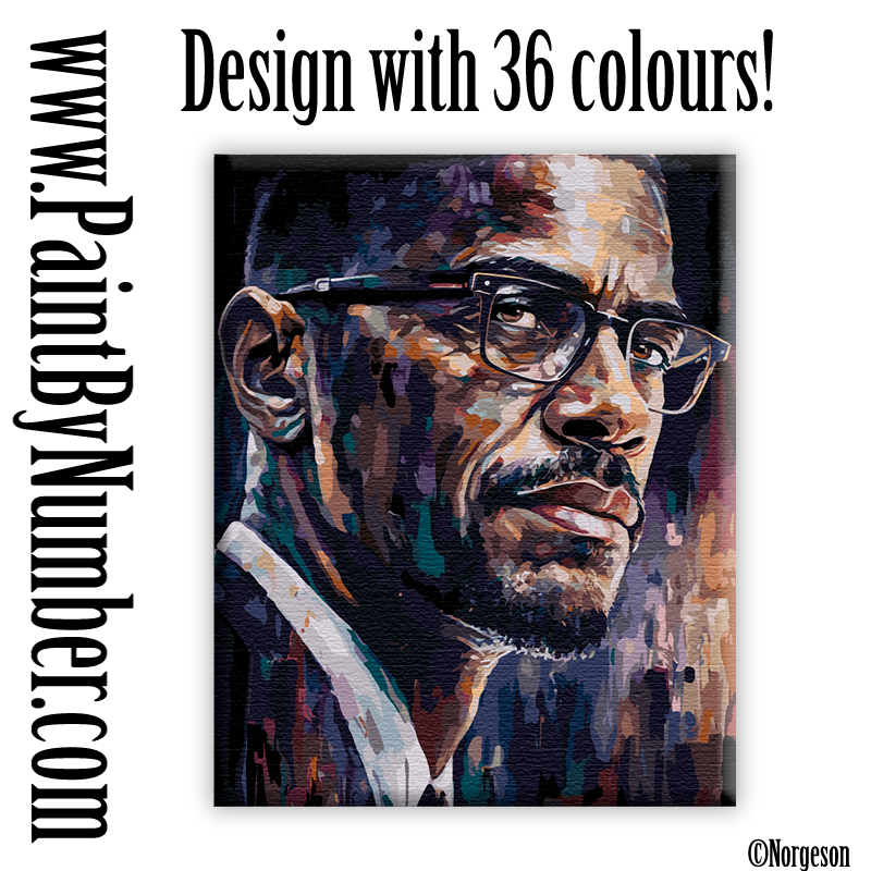 Malcolm X Traditional paint by numbers